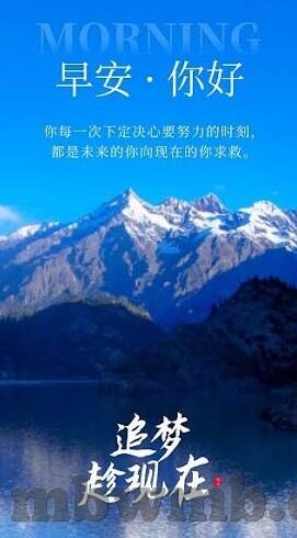 91麻豆视频在线观看-探求视频观影新境界，91麻豆视频在线体验全解析