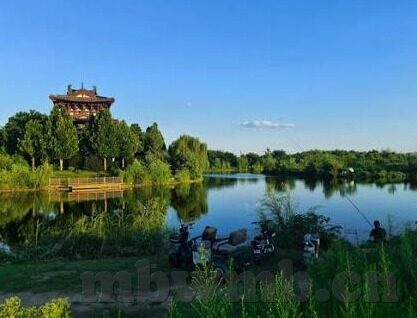 成人免费视频播换-成人内容与网络伦理的边界探讨