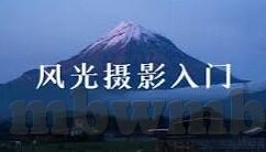 大象传媒免费-免费大象传媒，重塑数字时代的信息传播
