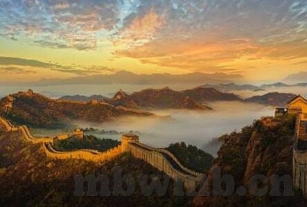 果冻传媒杜鹃搬家-杜鹃新居，果冻传媒的迁徙之旅