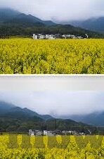 类似糖心vlog-探索糖心Vlog的独特魅力，一窥当代生活记录的艺术