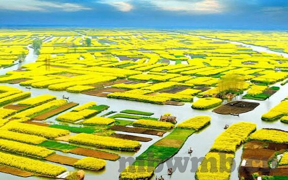 麻豆传媒有限公司视频-麻豆传媒有限公司视频，文化与艺术的碰撞