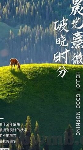麻豆国产综合av-麻豆国产综合av的多元视角与文化探索
