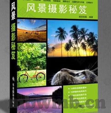 麻豆软件app-深入解析麻豆软件APP，创意社交与个性化服务的完美交融