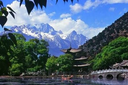 糖心vlog百度-甜蜜的背后——糖心vlog与百度探索之旅