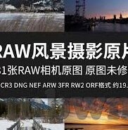 天天日麻豆av-良伴益友，探索麻将与娱乐的和谐共生